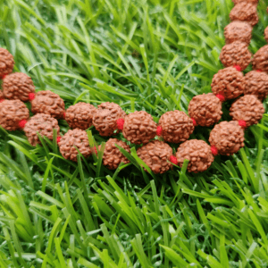 4 Mukhi